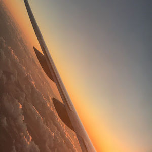 Meet your Posher, Callie